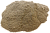 Ц0000002759_0